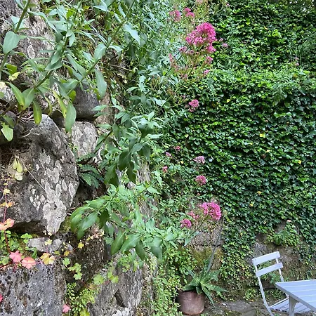 Casarosa 5* L'Opaco